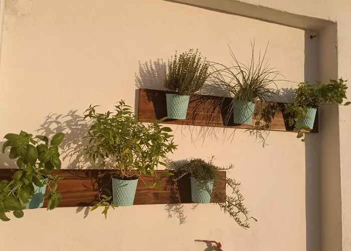 Domus Vacanze Romane Rome